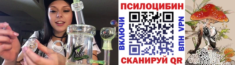 OMG вход  Вышний Волочёк  Галлюциногенные грибы Cubensis 